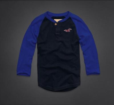 Hollister Men Shirts-454